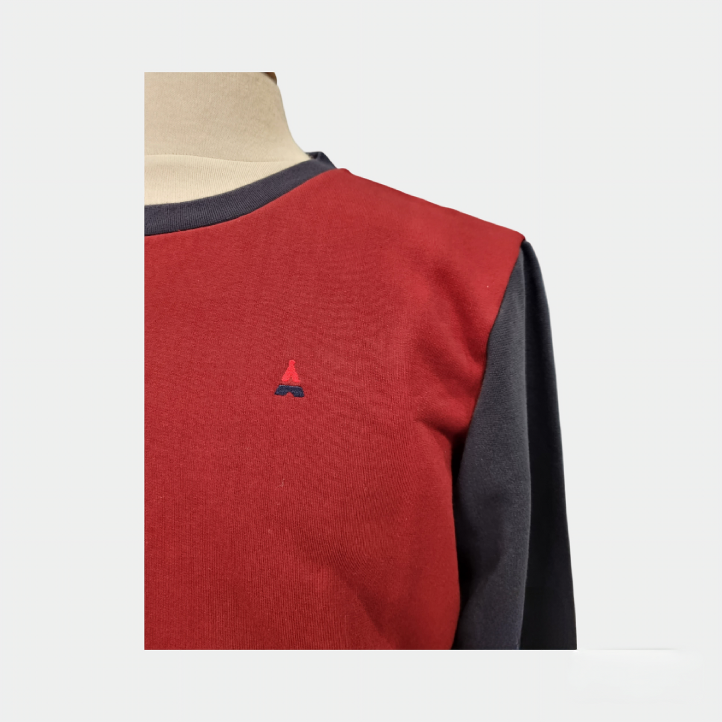 Détail du col rond et des finitions du sweat Leo bicolore MAISON FT